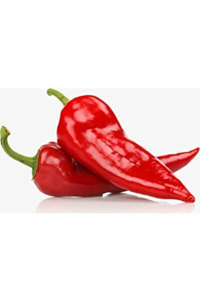 Serdar Çam Tohumculuk Tohum