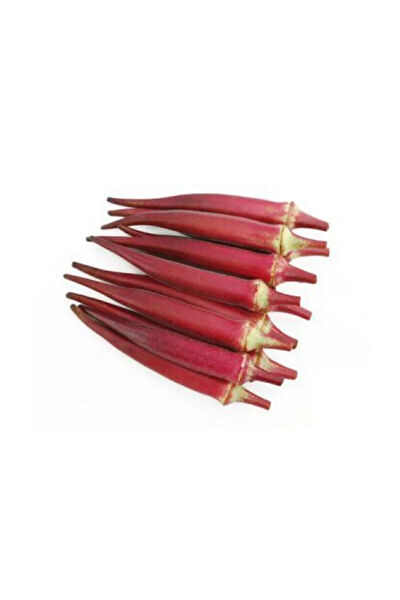 Serdar Çam Tohumculuk Tohum