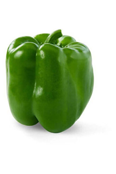 Serdar Çam Tohumculuk Tohum