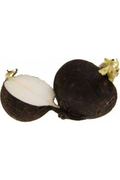 Serdar Çam Tohumculuk Tohum