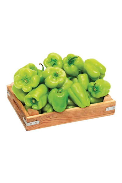 Serdar Çam Tohumculuk Tohum