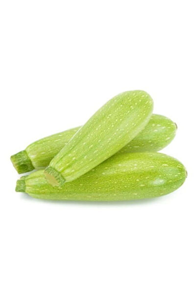 Serdar Çam Tohumculuk Tohum