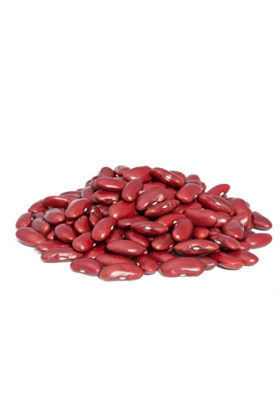 Serdar Çam Tohumculuk Tohum