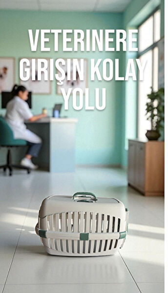 Gondol Kedi Çantası