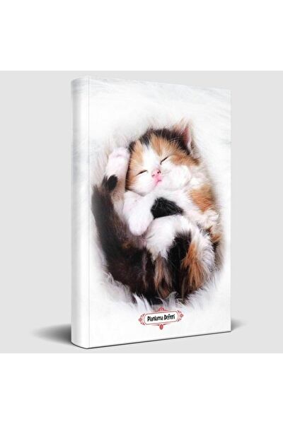 Halk Kitabevi Defter, Ajanda