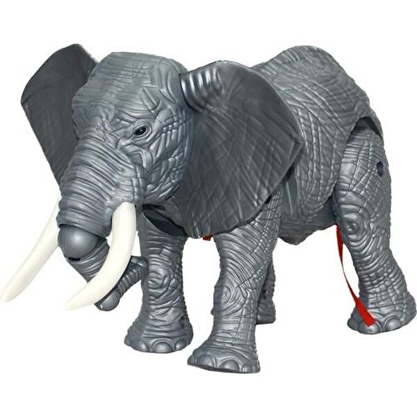 TOYSTURKA Eğitici Oyuncaklar