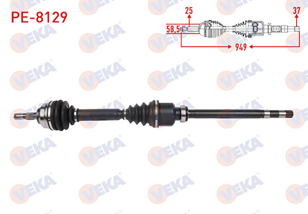 OEM Aks Körük & Kafası