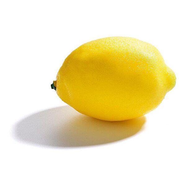 Nettenevime Yapay Çiçek, Meyve