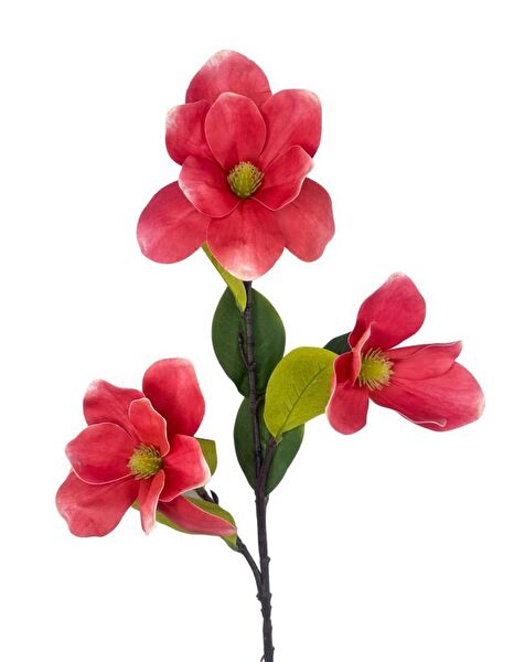 Nettenevime Yapay Çiçek, Meyve