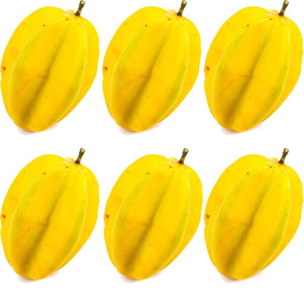 Nettenevime Yapay Çiçek, Meyve