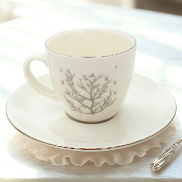 Evimia Fincan,Fincan Takımı