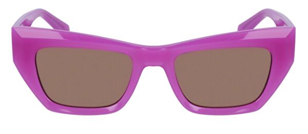 Calvin Klein Unisex Güneş Gözlüğü