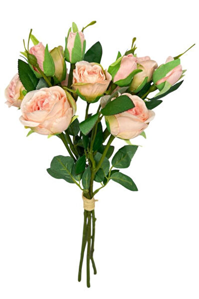 Nettenevime Yapay Çiçek, Meyve