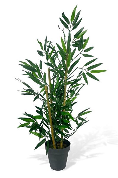 Nettenevime Yapay Çiçek, Meyve