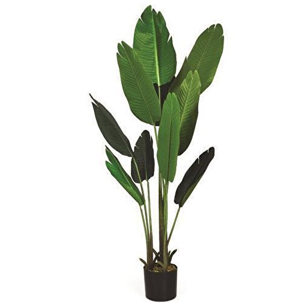 Nettenevime Yapay Çiçek, Meyve