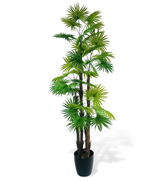 Nettenevime Yapay Çiçek, Meyve