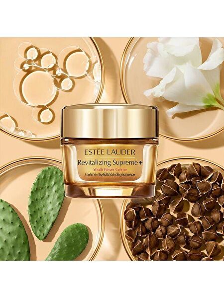 Estee Lauder Anti-Aging, Yaşlanma Karşıtı Ürünler