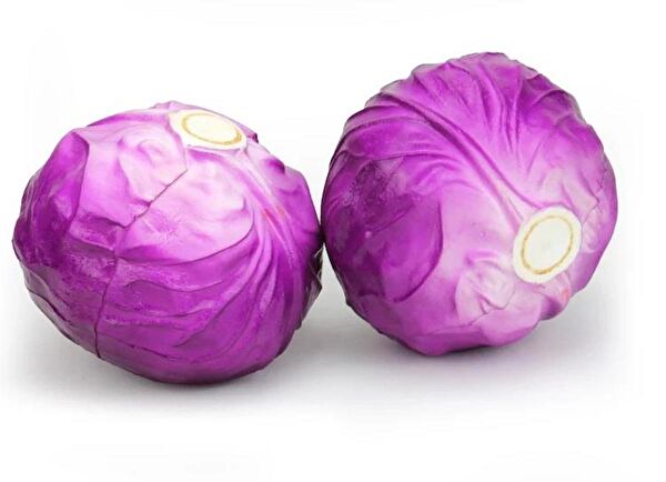 Nettenevime Yapay Çiçek, Meyve