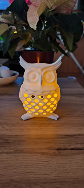 TSC Dekoratif Obje, Biblo, Figür