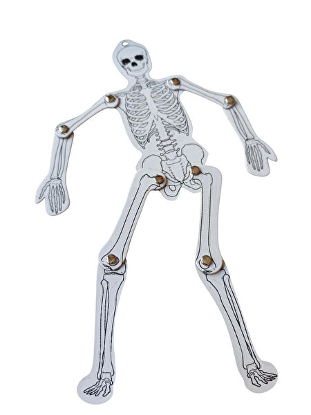 Hureggo Deney Malzemeleri