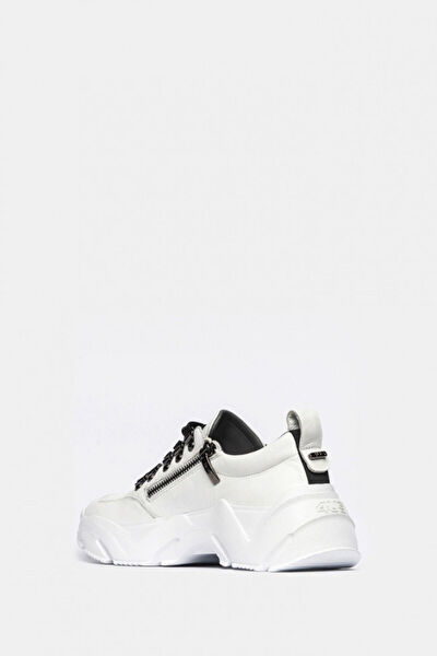 Cesare Paciotti Kadın Sneaker Ayakkabı