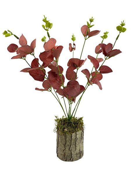 Nettenevime Yapay Çiçek, Meyve