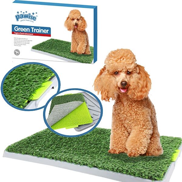 Pawise Köpek Tuvaleti & Eğitim Ürünleri