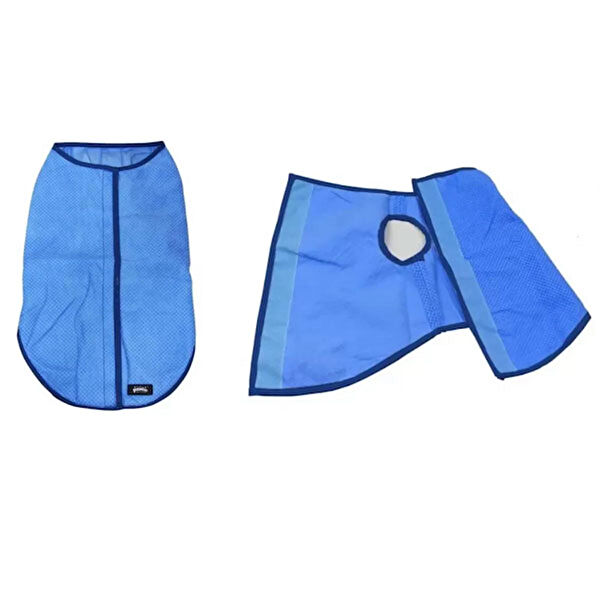 Pawise Köpek Elbisesi