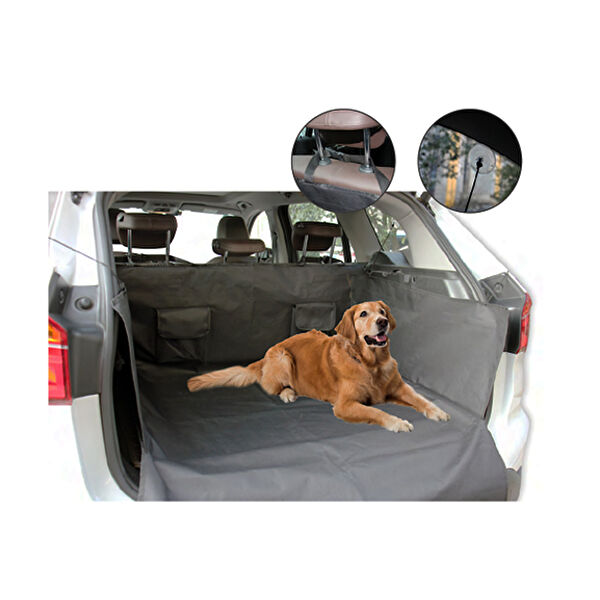 Pawise Köpek Kafesi, Aksesuarları