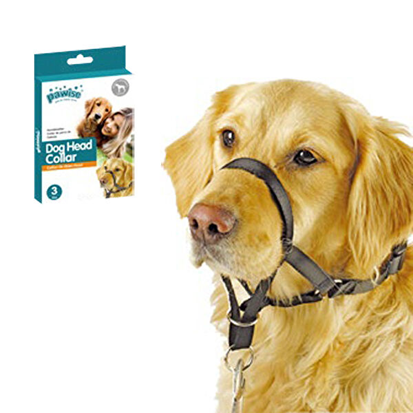 Pawise Köpek Güvenlik