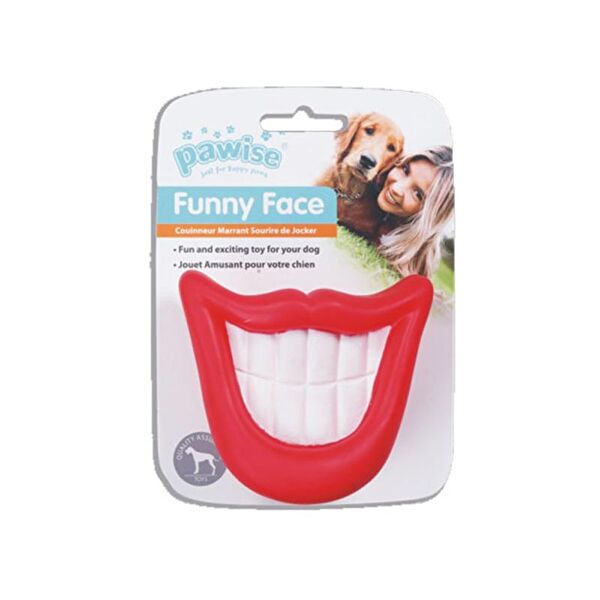 Pawise Köpek Oyuncakları