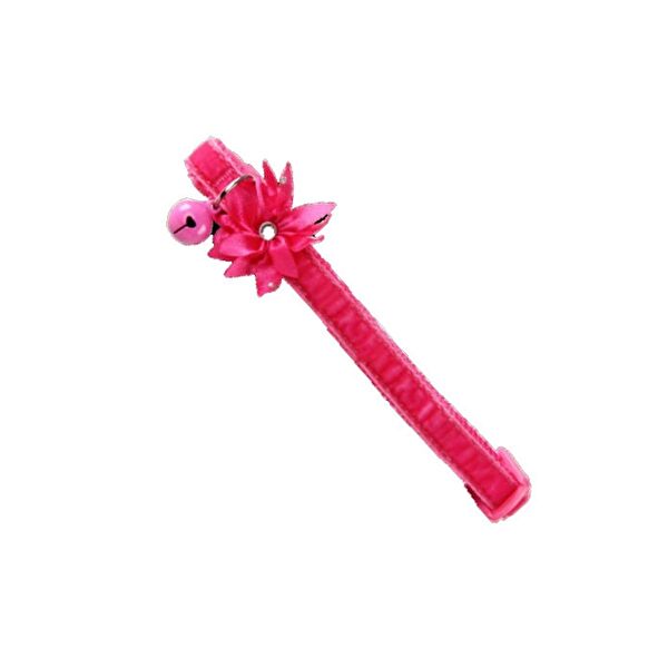 Pawise Kedi Tasmaları ve İsimlikler