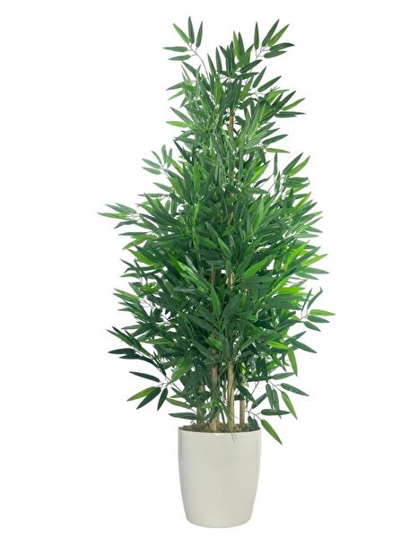 Nettenevime Yapay Çiçek, Meyve