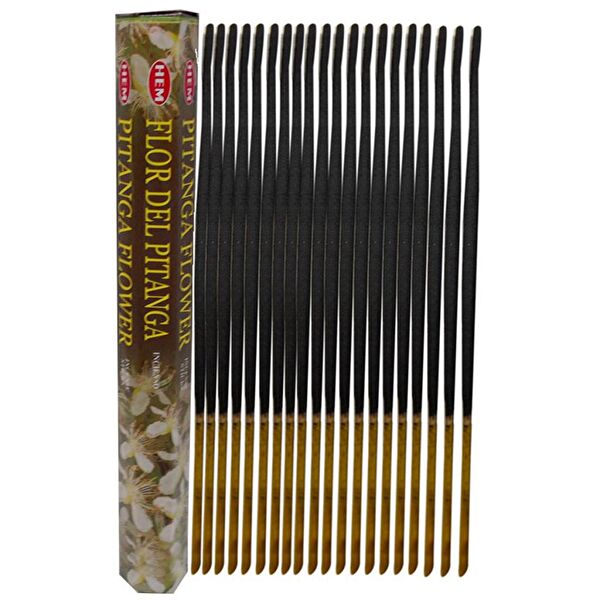 Hem Tütsü Oda Kokusu