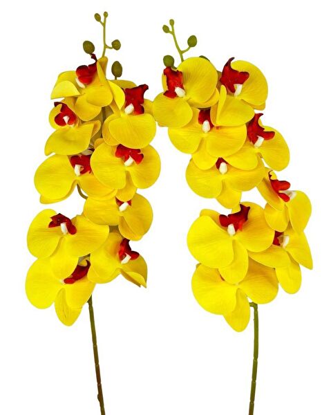 Nettenevime Yapay Çiçek, Meyve