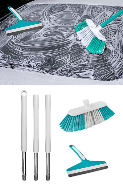 Flora Fırça, Süpürge