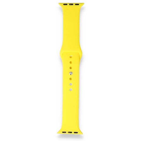 FitCase Akıllı Saat Aksesuar