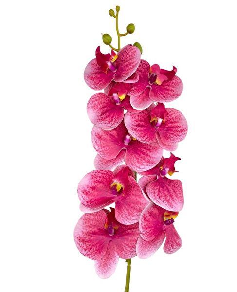 Nettenevime Yapay Çiçek, Meyve