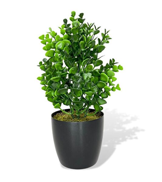 Nettenevime Yapay Çiçek, Meyve