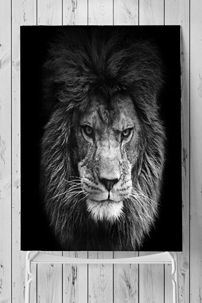 Postermanya Çerçevesiz Tablo