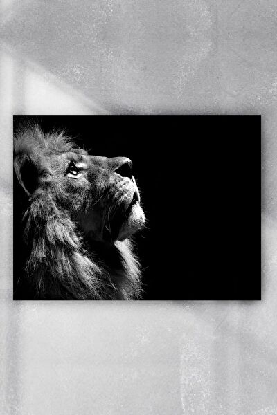 Postermanya Çerçevesiz Tablo