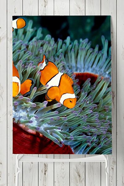 Postermanya Çerçevesiz Tablo