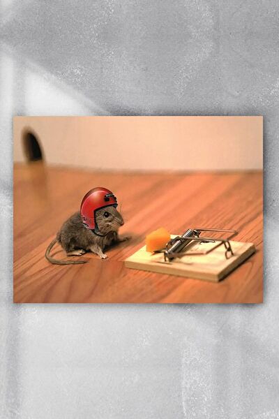 Postermanya Çerçevesiz Tablo