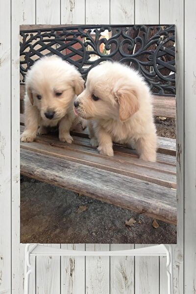 Postermanya Çerçevesiz Tablo