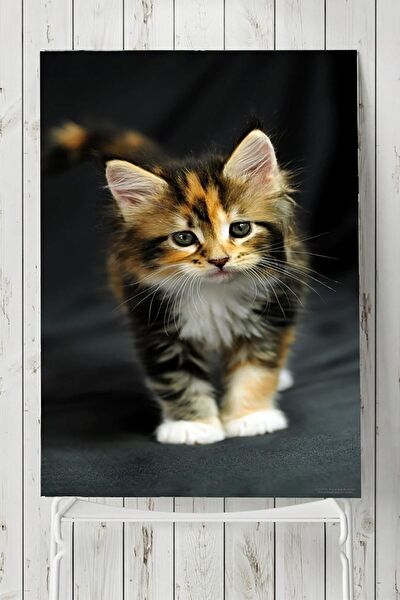 Postermanya Çerçevesiz Tablo