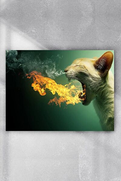 Postermanya Çerçevesiz Tablo