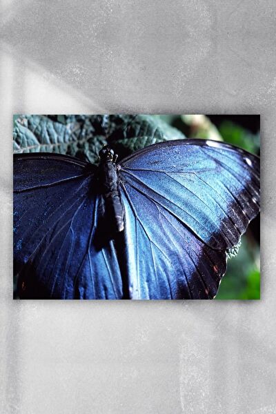 Postermanya Çerçevesiz Tablo