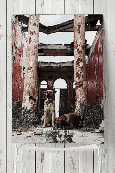 Postermanya Çerçevesiz Tablo