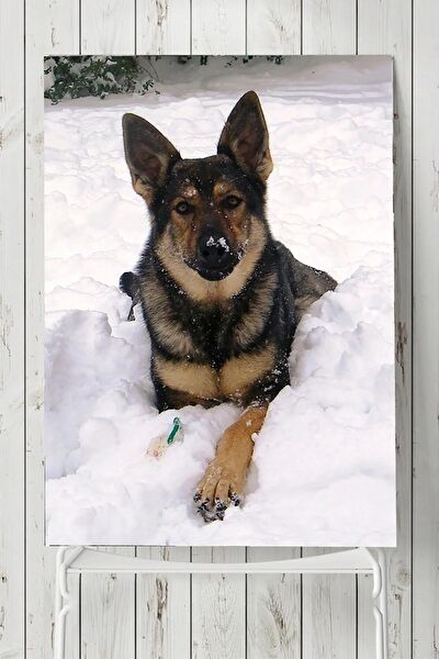 Postermanya Çerçevesiz Tablo