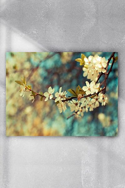 Postermanya Çerçevesiz Tablo